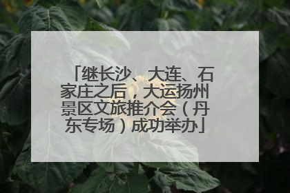 继长沙、大连、石家庄之后，大运扬州景区文旅推介会（丹东专场）成功举办